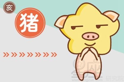 属猪2021年下半年3d彩吧娱乐官方网站具体分析详解