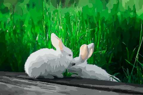2011年利来国际安卓ios下载属兔人的运程 2011年属兔人一生